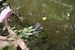 DSC_9197.JPG
